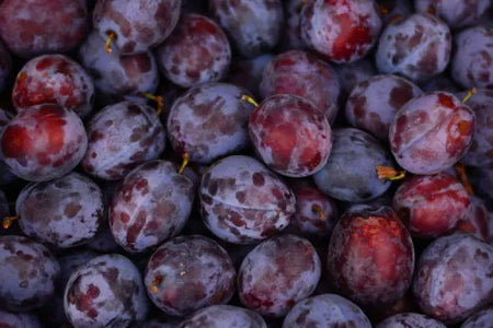 The Power of Black Plum